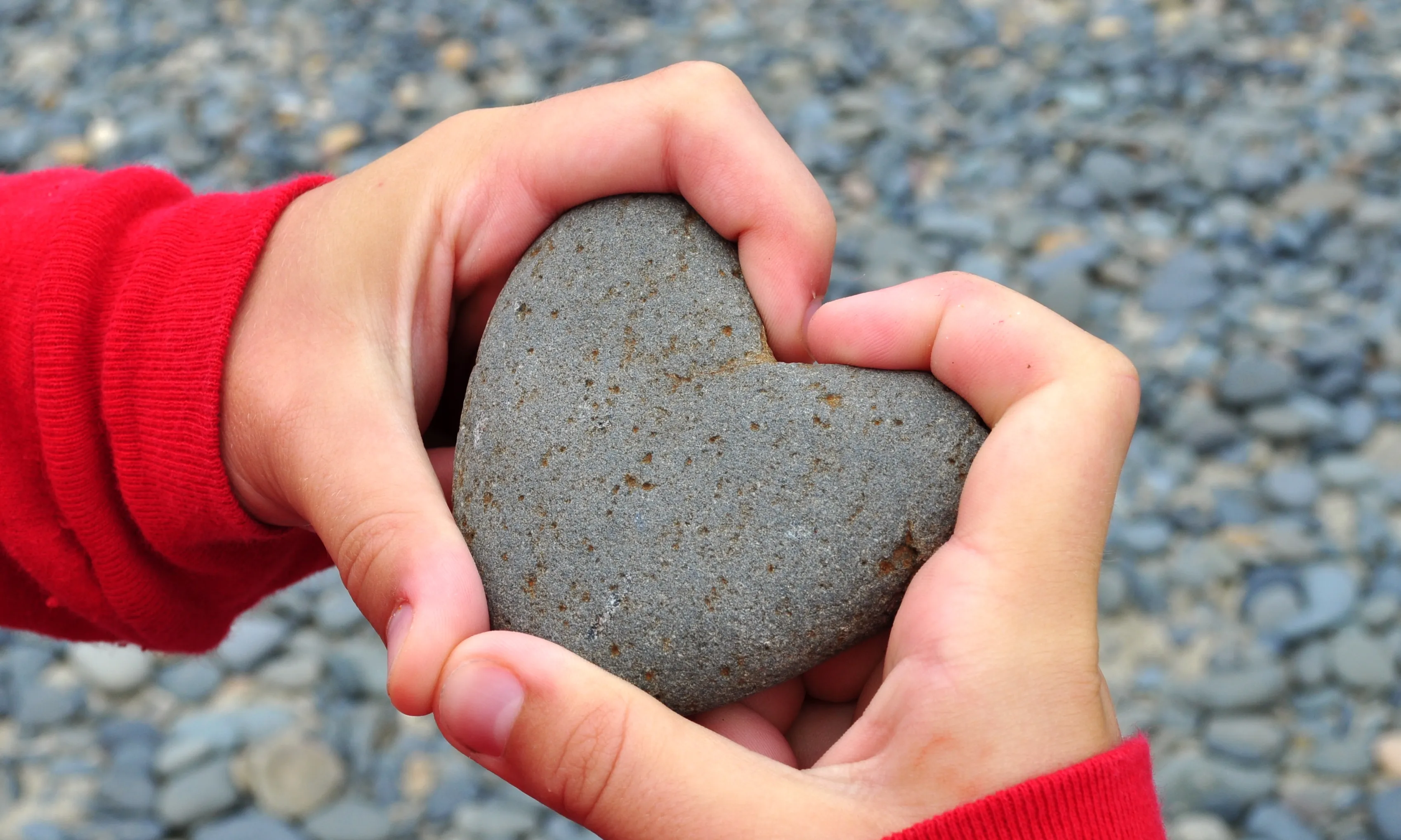 El termini de presentació del formulari de sol·licitud finalitza el 9 d'agost.