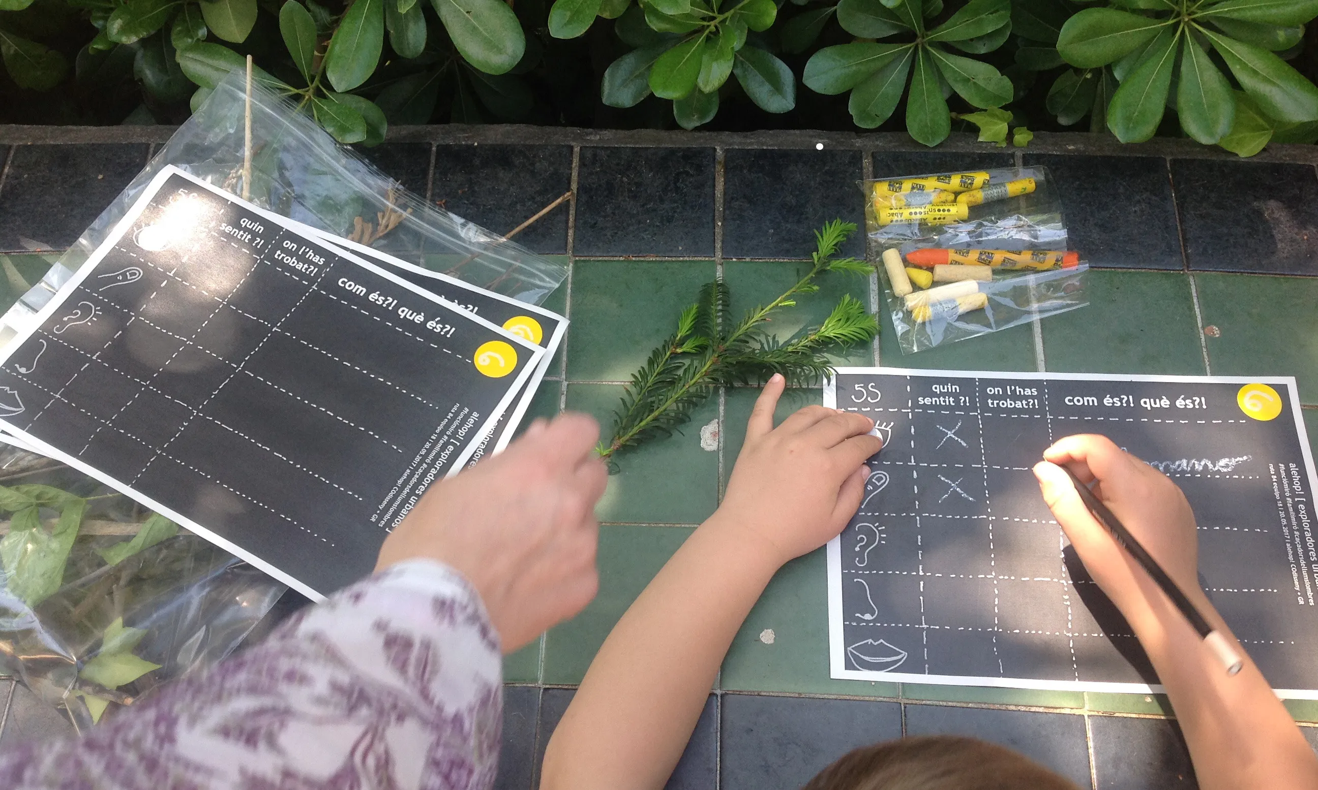 Rutes ciutat natura_animallatitude_alehop exploradores urbanos