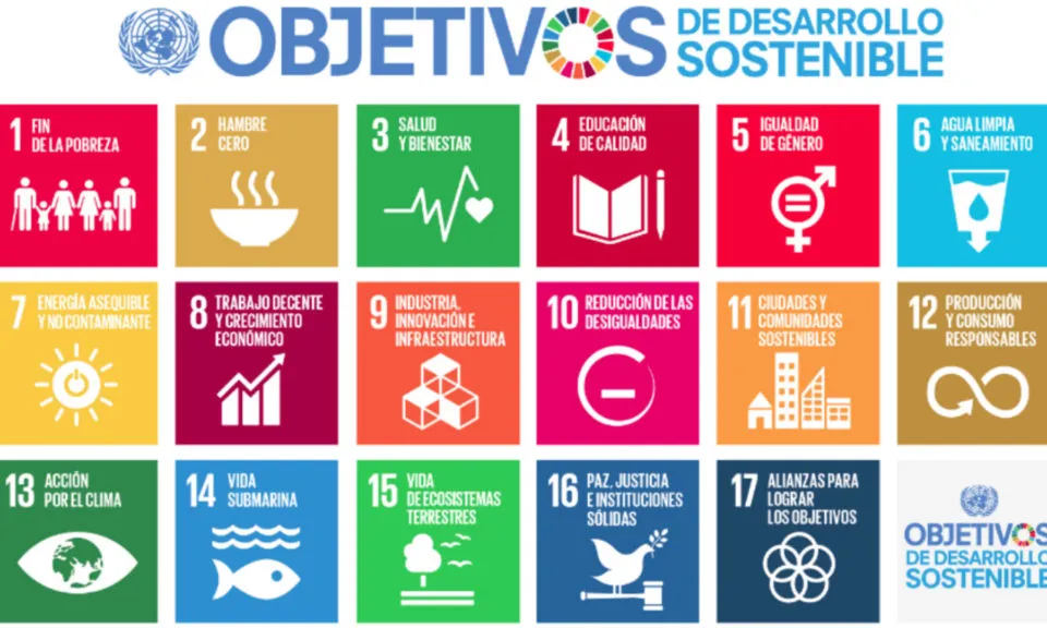 La primera licitació és un Estudi sobre els Objectius de Desenvolupament Sostenible en el Tercer Sector. Font: Noticiaspositivas.org