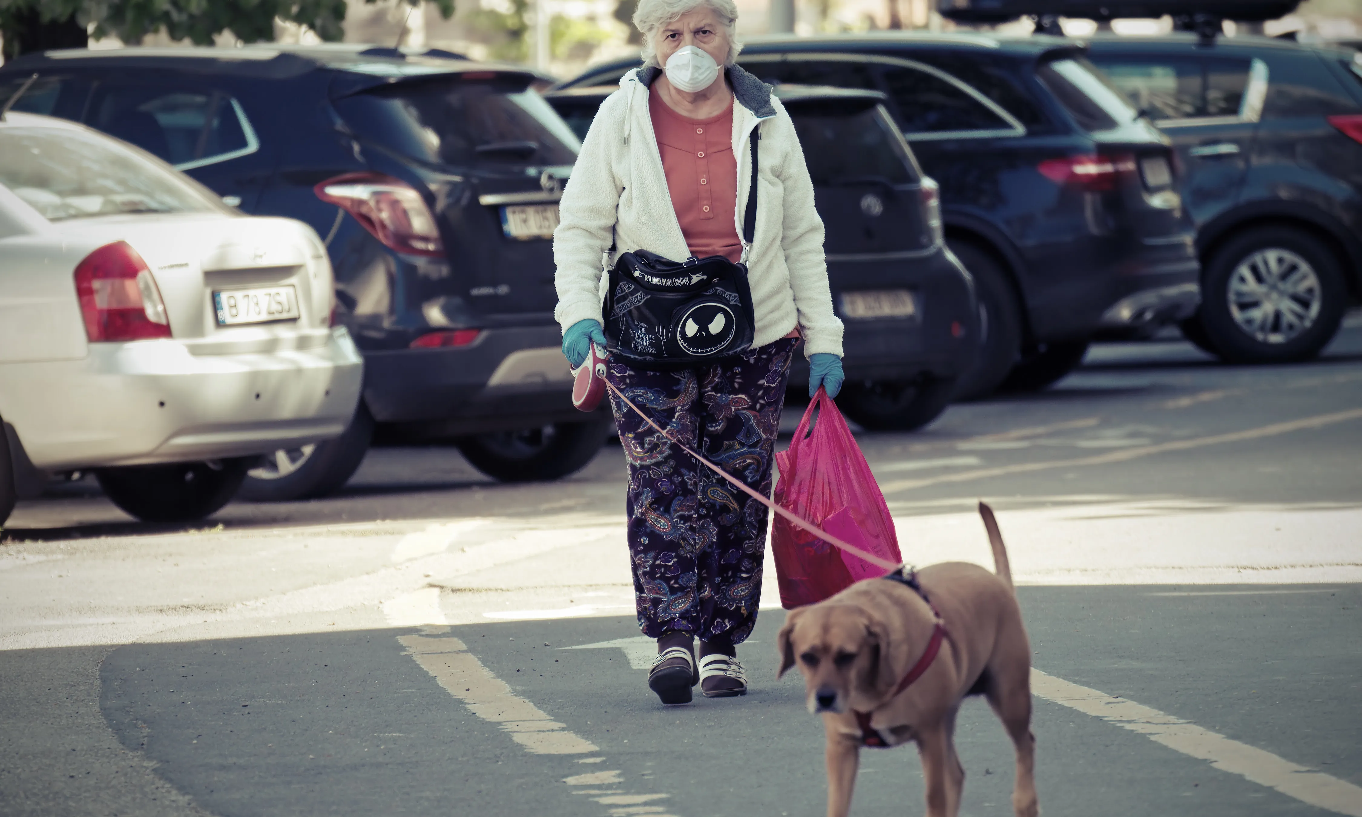 Una dona gran passeja al seu gos protegida amb una mascareta.