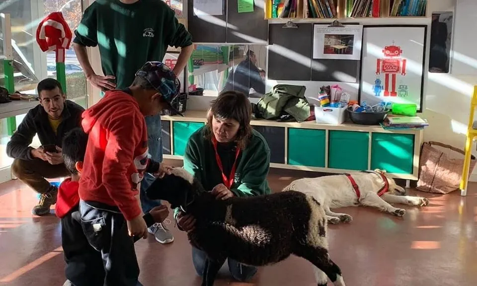 Imatge d'arxiu d'una de les activitats de l'entitat.