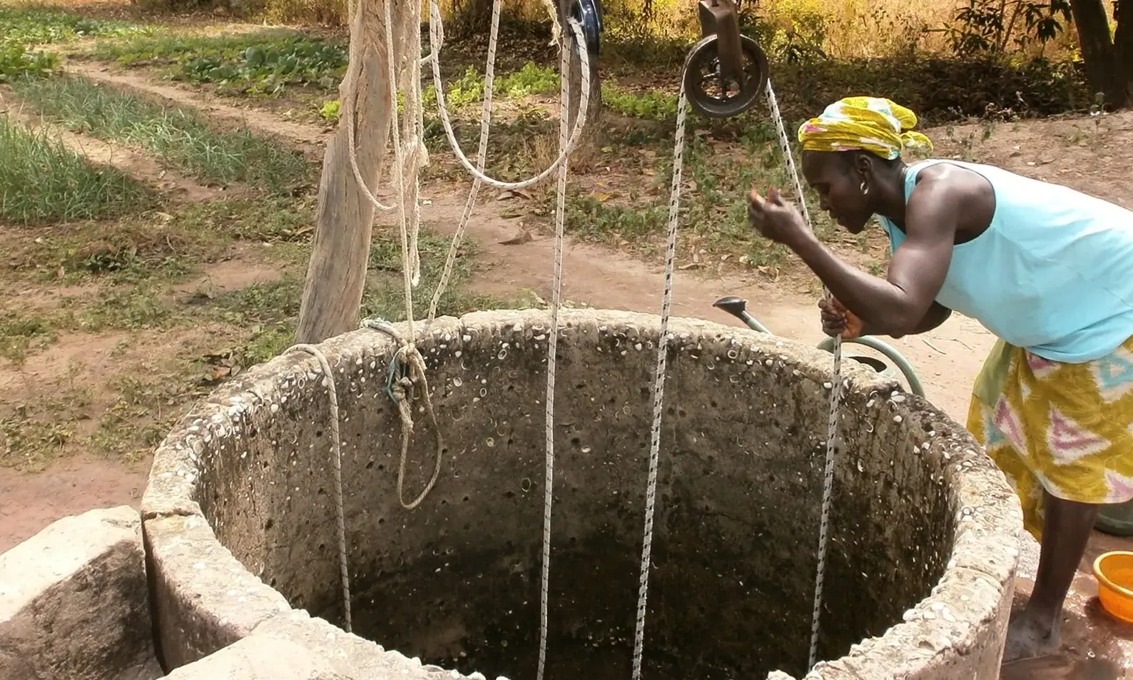 ASL treballa en un projecte d’apoderament de la dona i millora de la situació socioeconòmica de les famílies agricultores senegaleses des de fa anys.