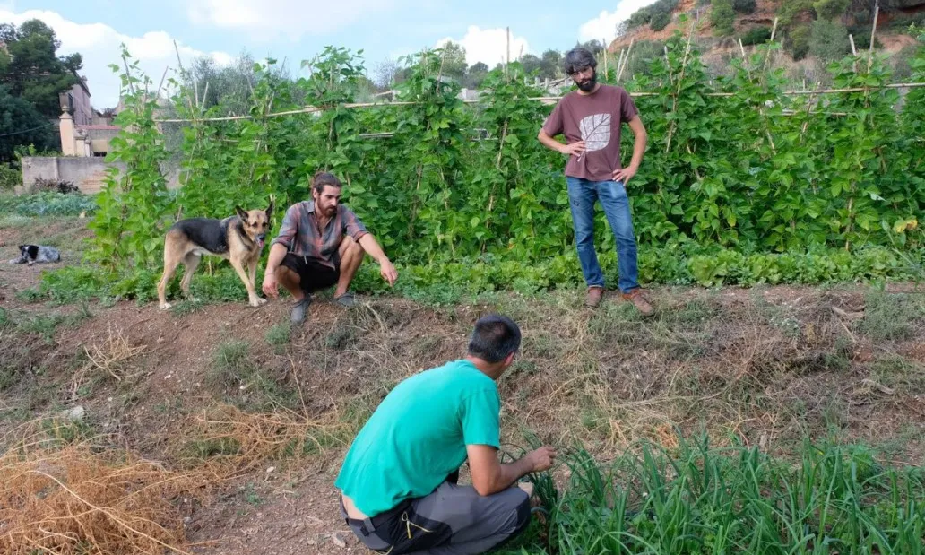 El confinament arran de la crisi sanitària ha constatat que la pagesia i una alimentació local, sana i saludable són essencials.