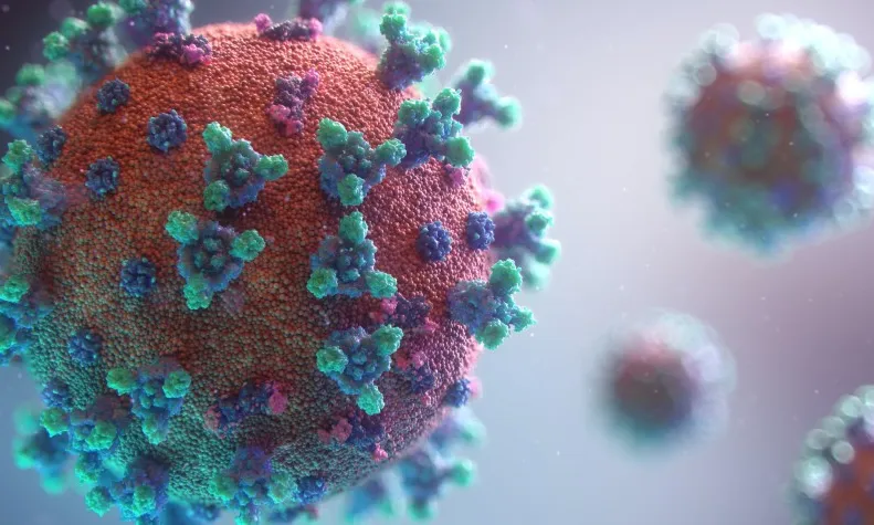 L'informe El Panoràmic sobre la situació de les entitats a Catalunya es publicarà a l'octubre, però ja se'n pot consultar l'avançament. Font: Torre Jussana.