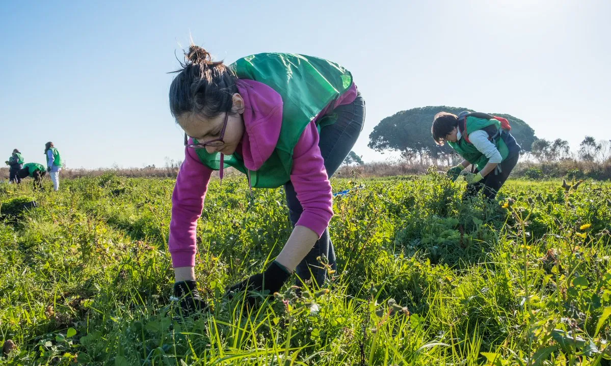 La primera de les xerrades la realitzarà Espigoladors sobre el malbaratament alimentari.