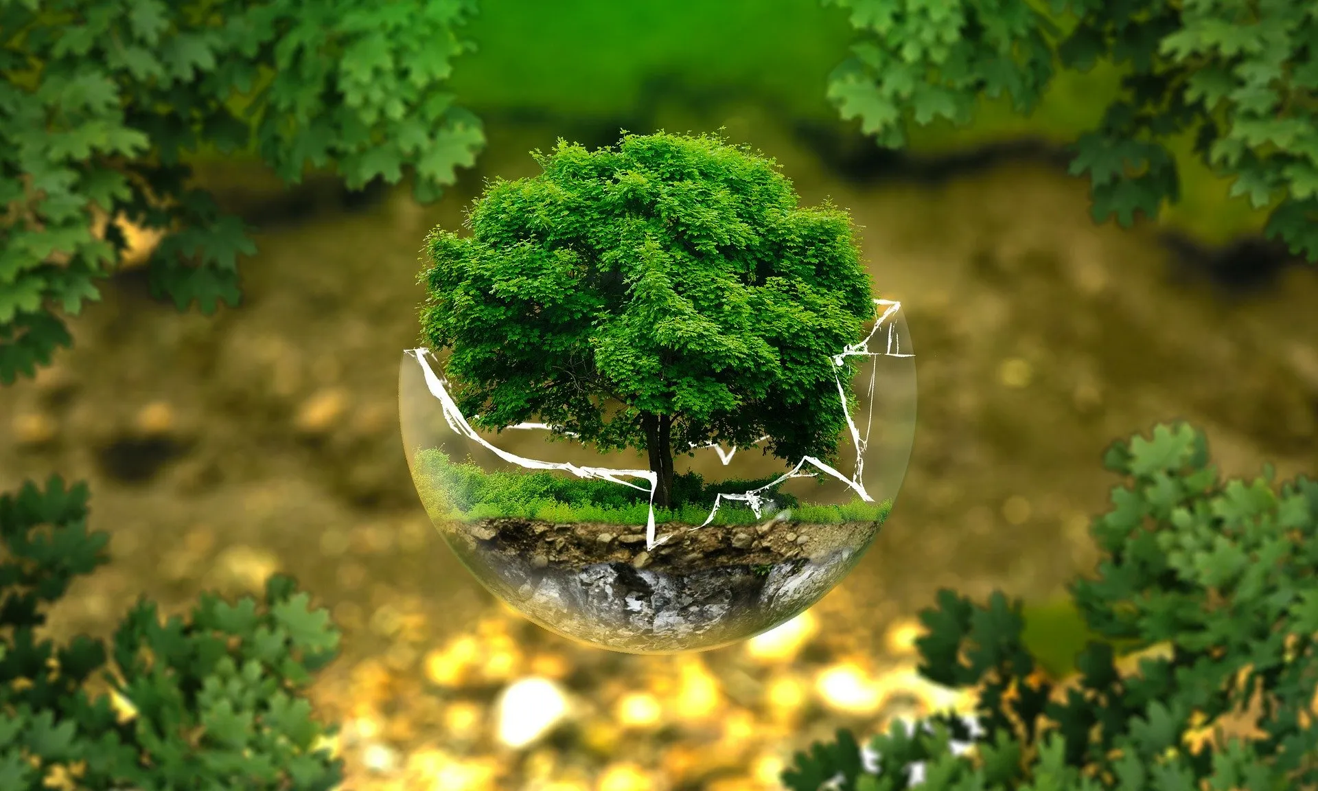 Alumnes de tot el món treballaran de manera cooperativa per realitzar un projecte de col·laboració ciutadana que promogui la justícia mediambiental i social.
