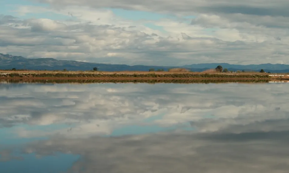 La barra del Trabucador necessita mesos per anar refent les seves dinàmiques internes. 