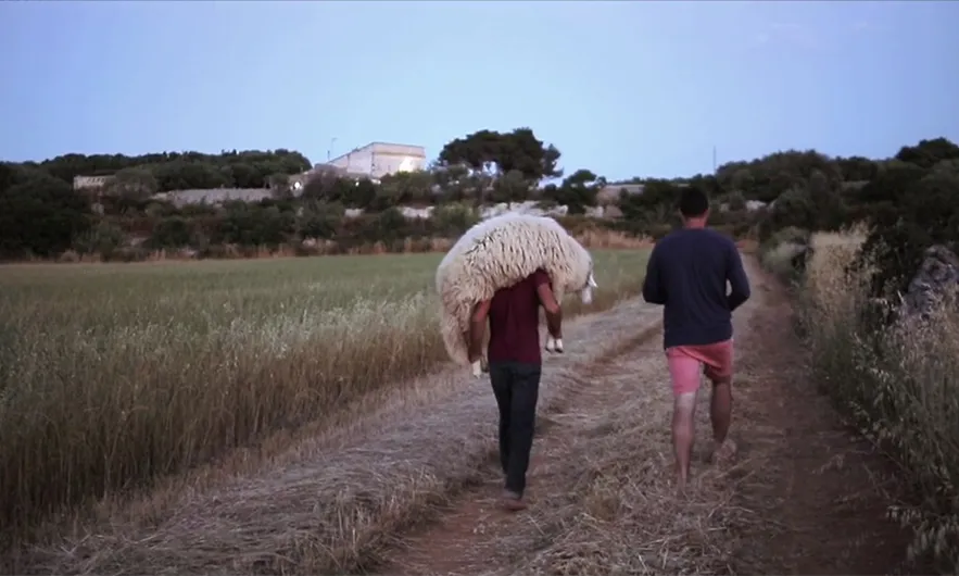 'Pedra Pàtria' una producció catalana que s'exhibirà al festival 'La Inesperada'.