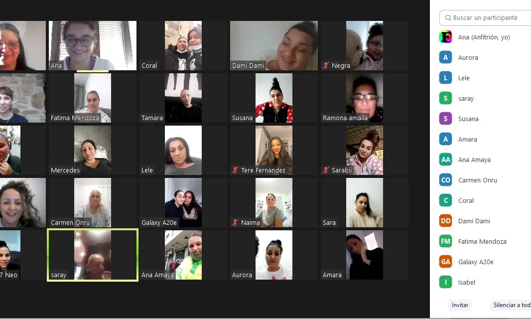 La Col·lectiva _carnet de conduir