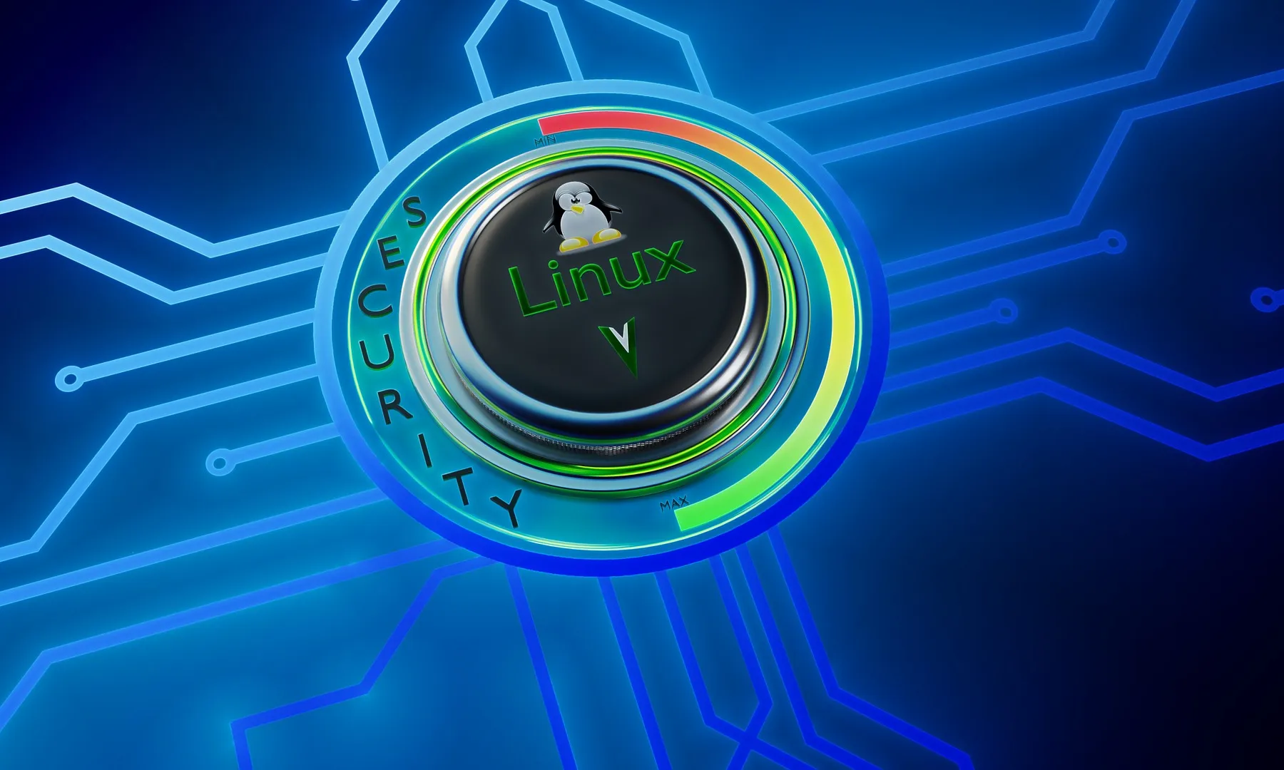 Linux compta amb opcions de seguretat i privacitat avançades.