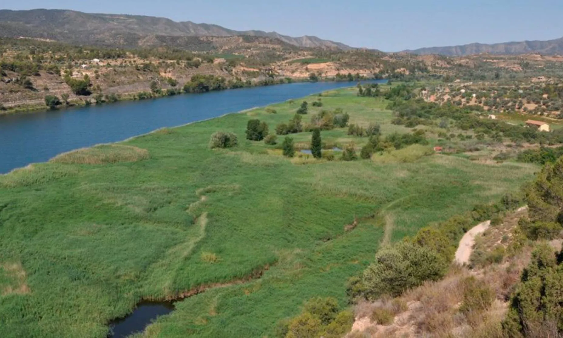 L'Agència Catalana de l'Aigua (ACA), la Confederació Hidrogràfica de l'Ebre (CHE) i el Grup de Natura Freixe (GNF) impulsen un acord per millorar la conservació ambiental d'aquests ecosistemes.