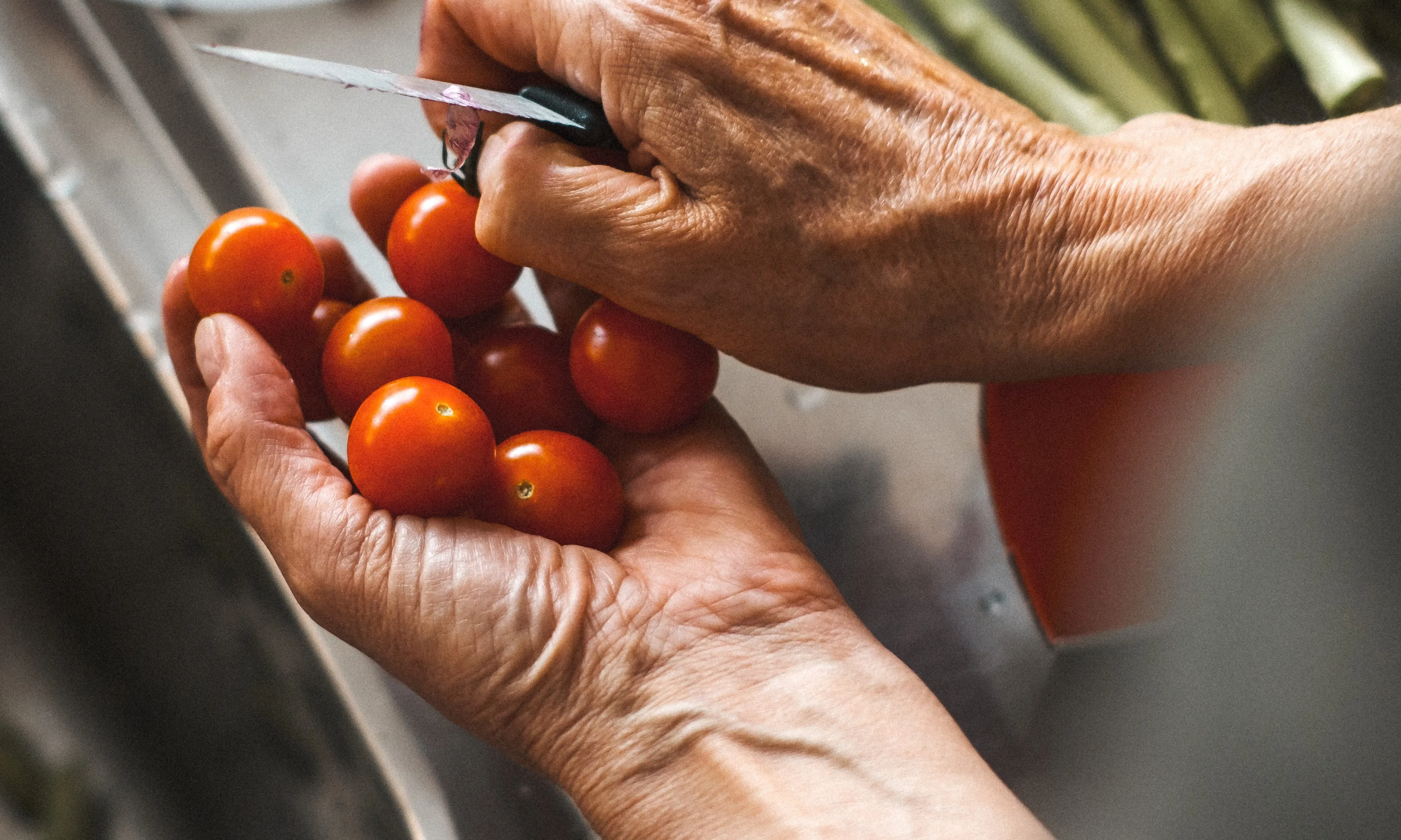 El projecte de la Fundació Alícia vol millorar l'autonomia i la salut de la gent gran des de l'alimentació.