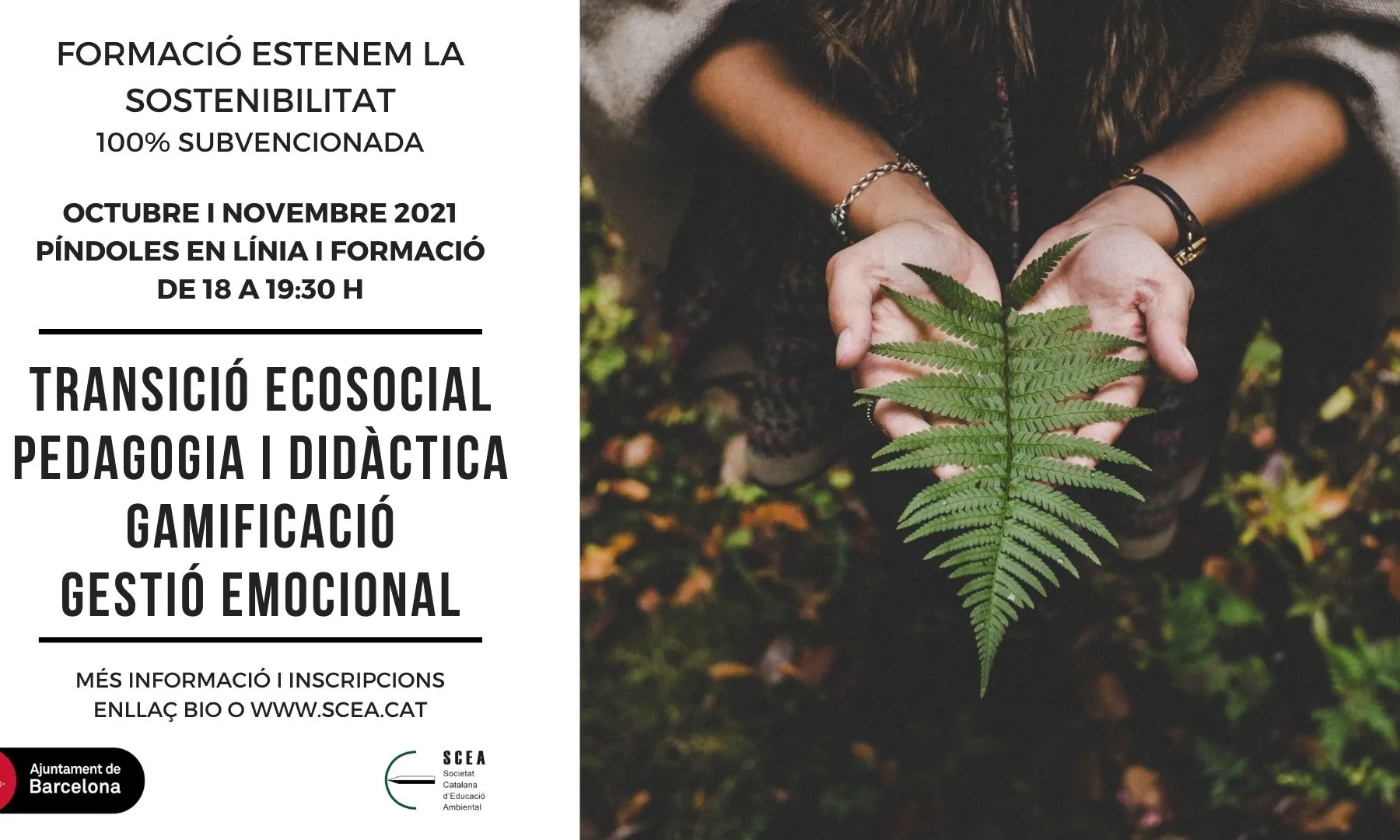 formacio SCEA 2021