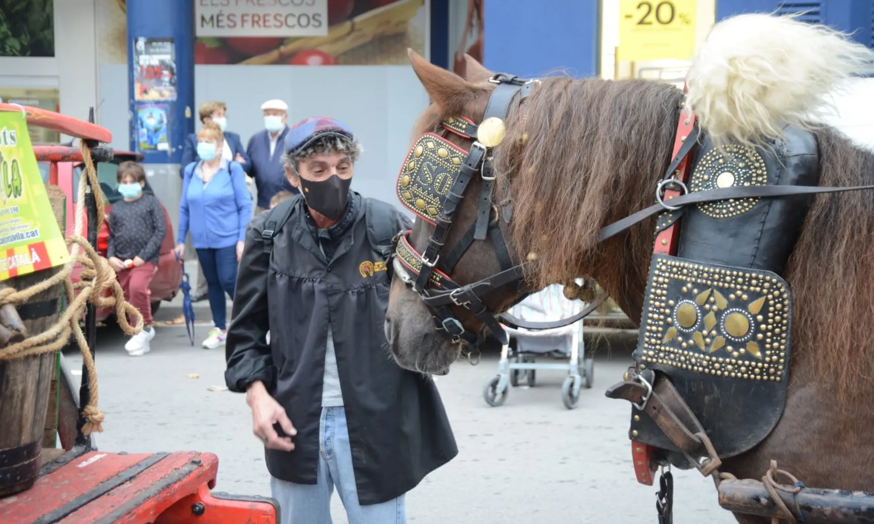 Celebració de la festivitat dels Tres Tombs de l'any 2021. Detall d'Àlex Hernández, vocal dels Amics de Sant Antoni Abat de Martorell, acariciant un dels cavalls.
