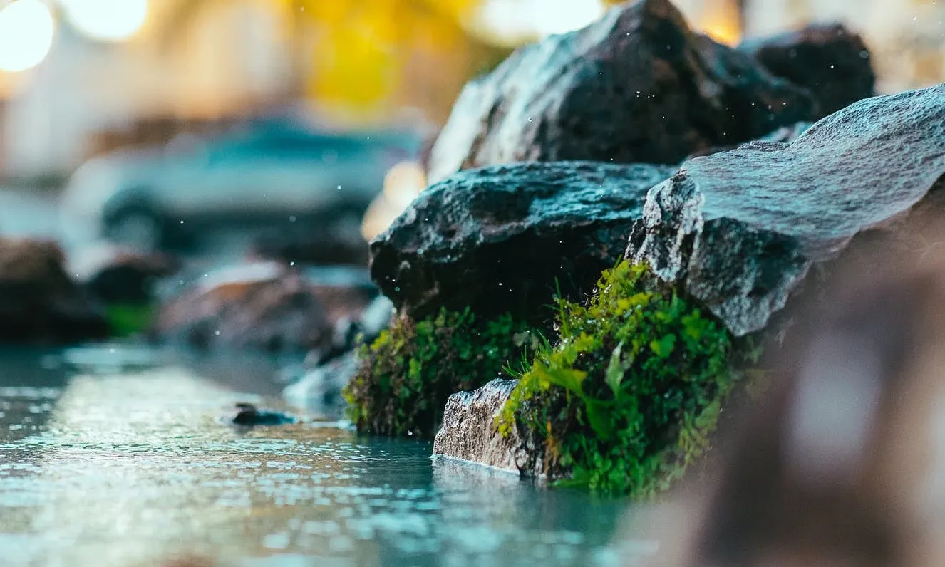 Aquest projecte ha permès descobrir l'impacte que va suposar el riu Ebre a la Batalla de l'Ebre, utilitzat com a punt estratègic per les tropes.