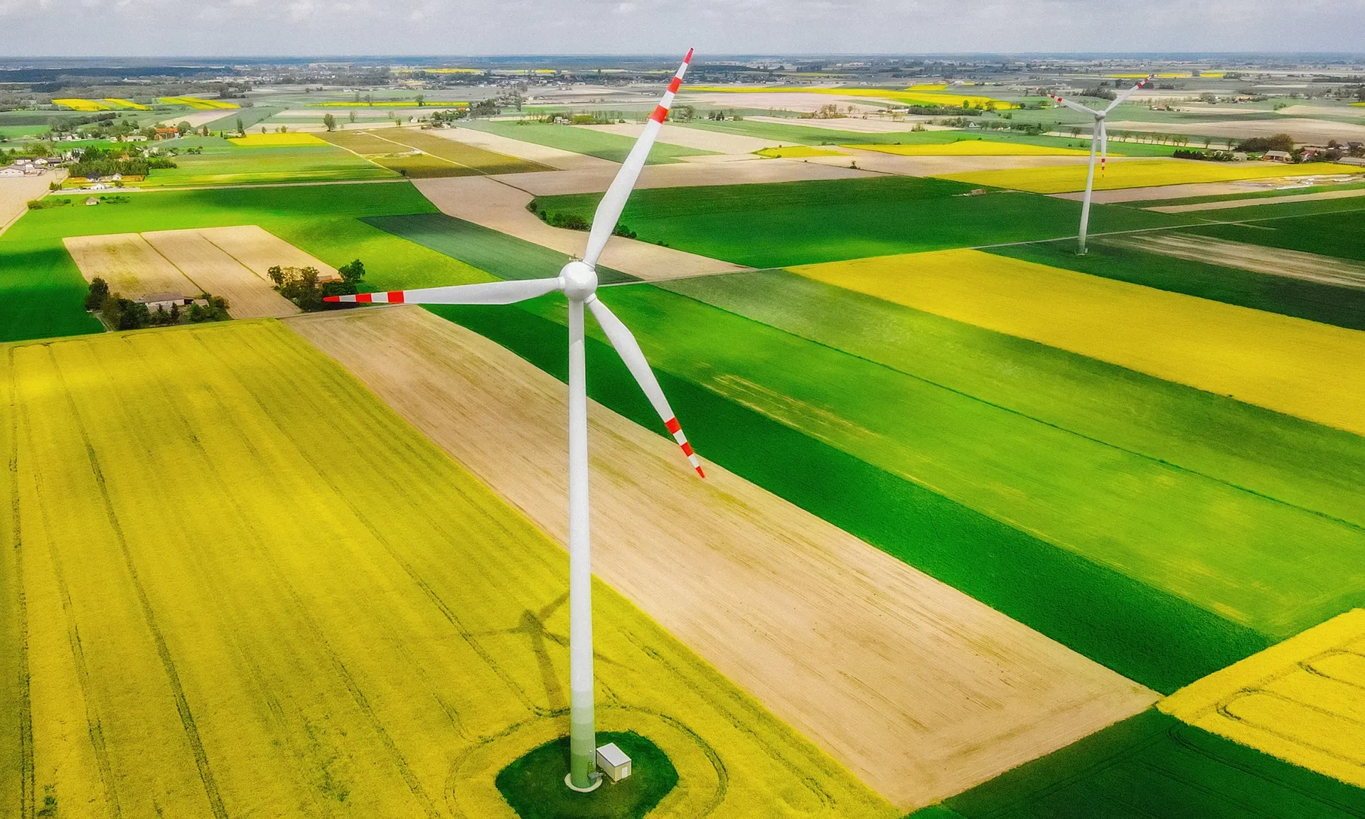 L'alfabetització climàtica és un gran repte social que poden canalitzar els moviments socials ecologistes. L'alfabetització climàtica és un gran repte social que poden canalitzar els moviments socials ecologistes.