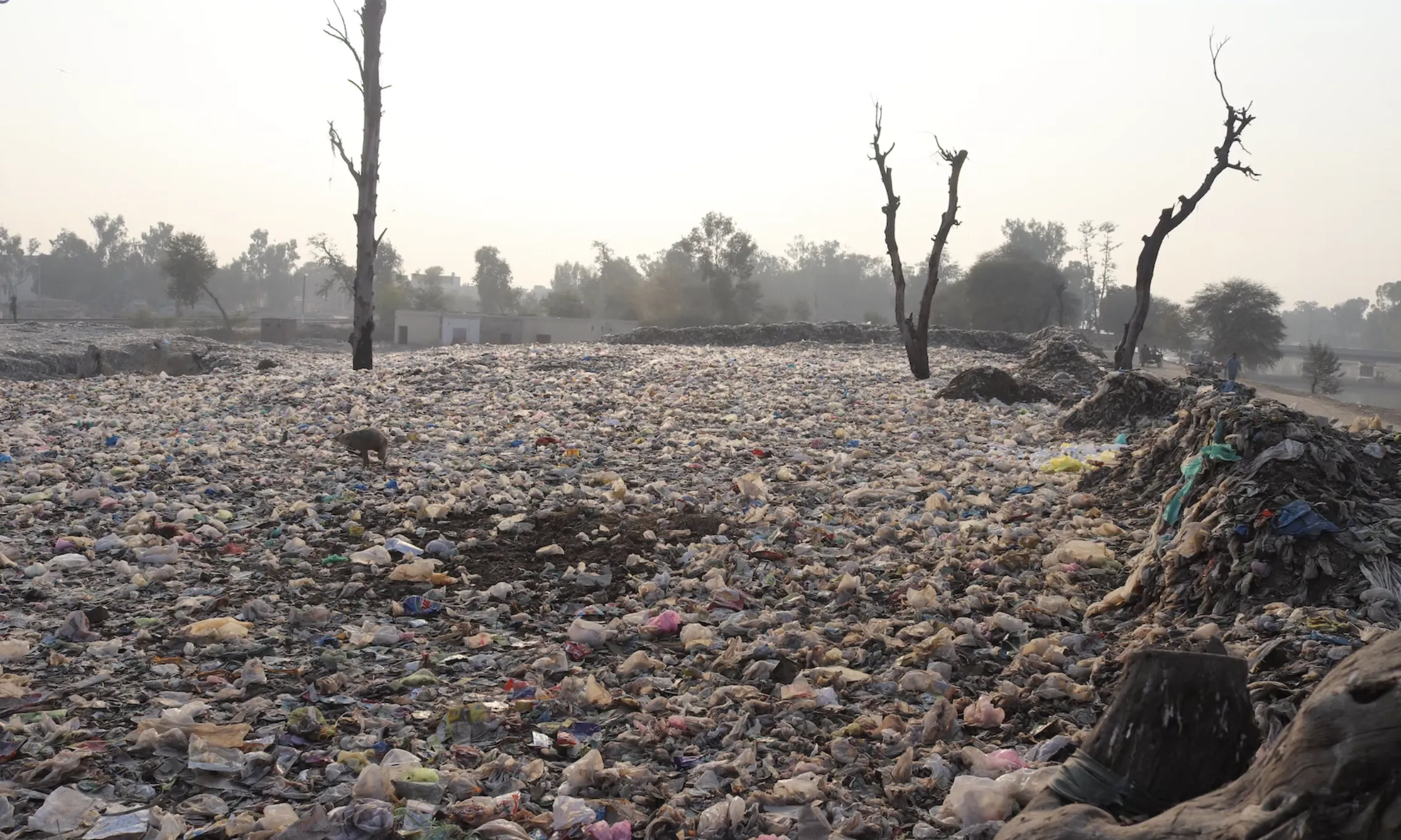 La sisena edició de la Mostra d’Humor Gràfic Humoràlia ha escollit el canvi climàtic com a tema principal i la guia sorgeix com a material complementari a l'exposició.