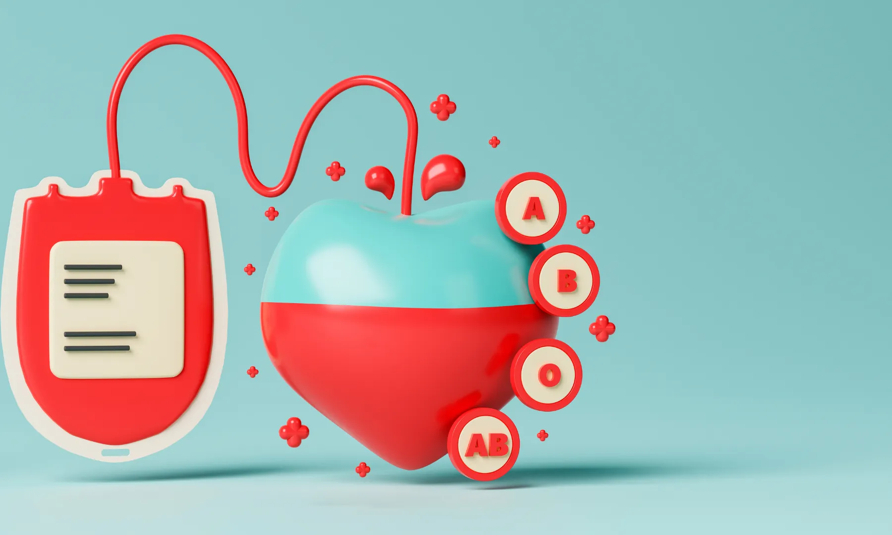 Cada tres segons, una persona a Espanya necessita una transfusió de sang.