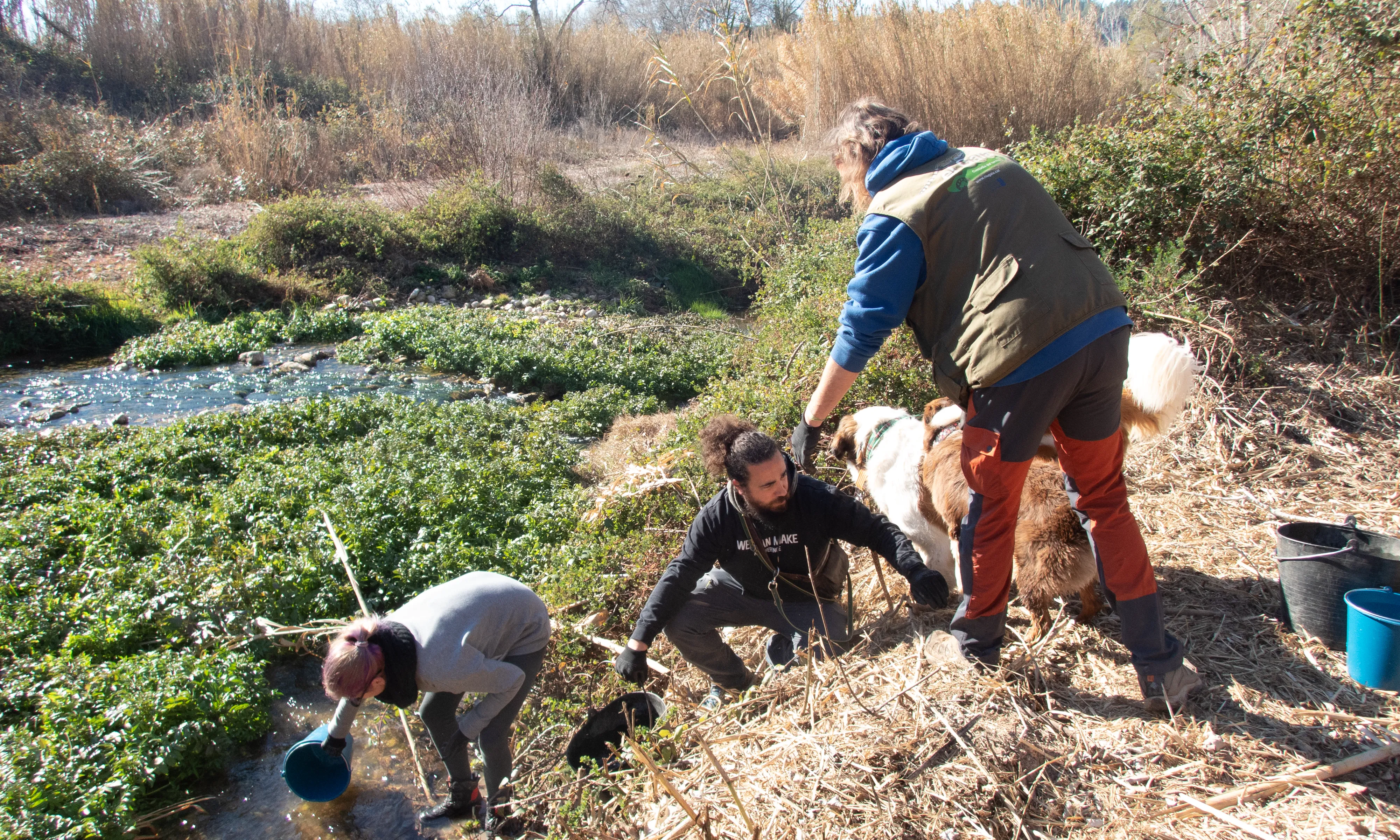 El treball en equip és una de les competències que aporta el voluntariat ambiental.