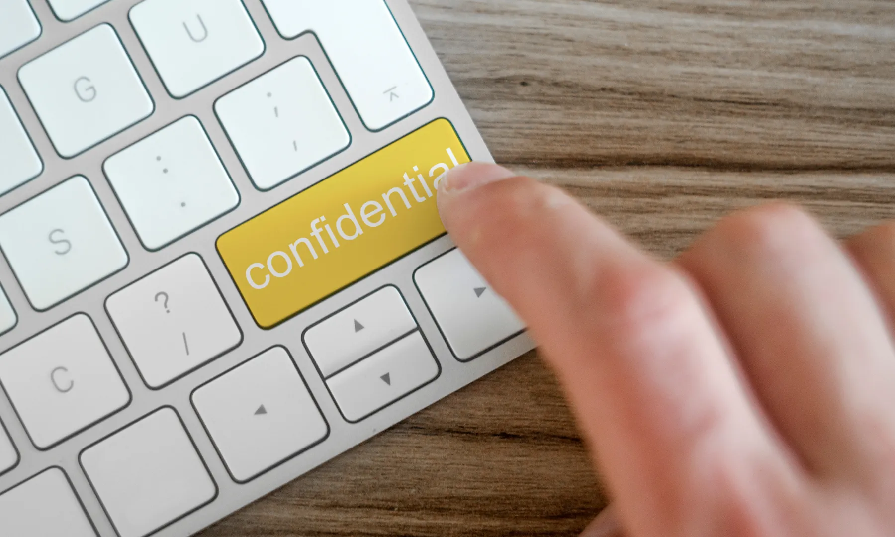 GlobaLeaks permet personalitzar el canal de denúncies de cada organització.