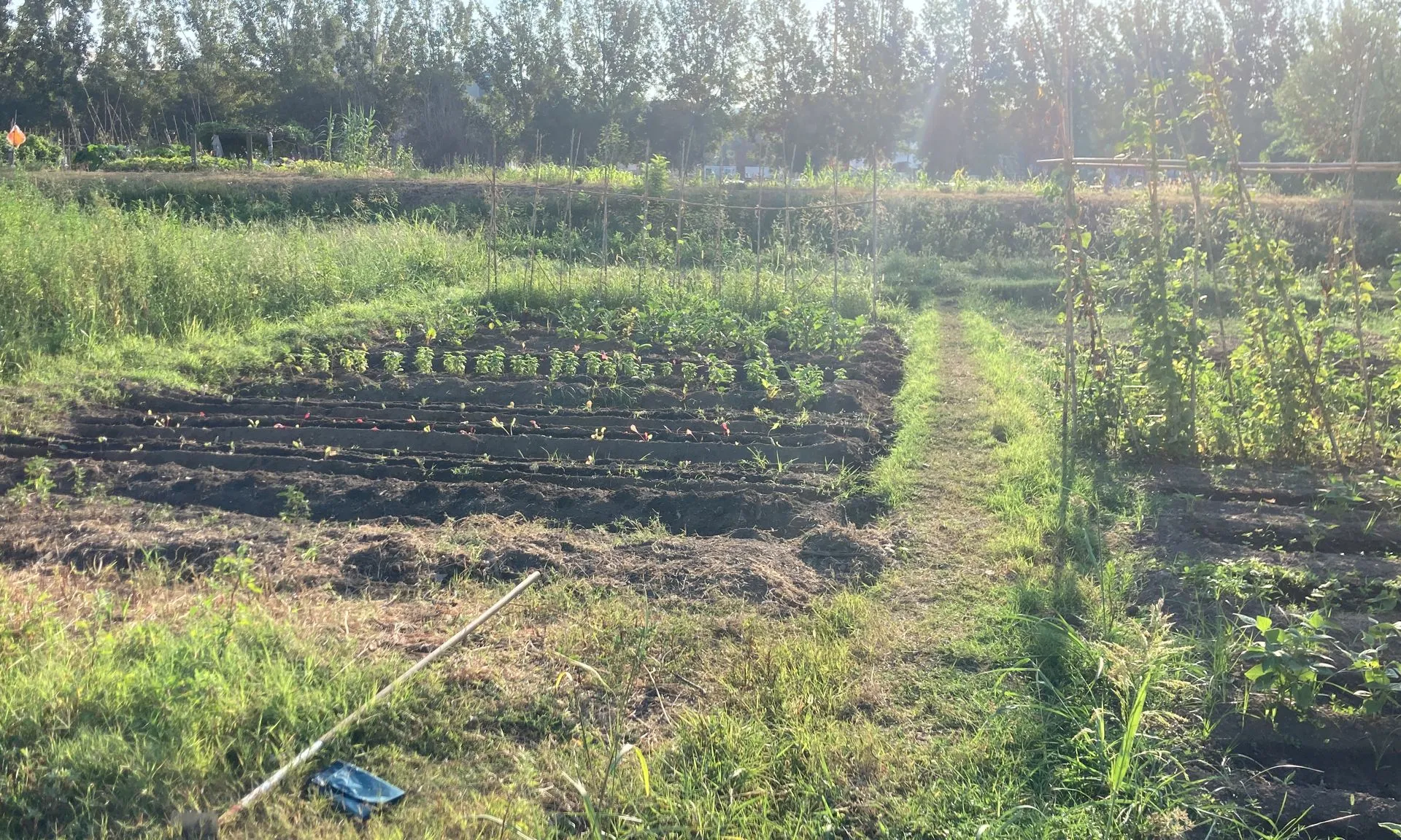 Nou Sol treballa en una iniciativa per acompanyar joves i dones vulnerabilitzades en la seva recuperació del benestar emocional.