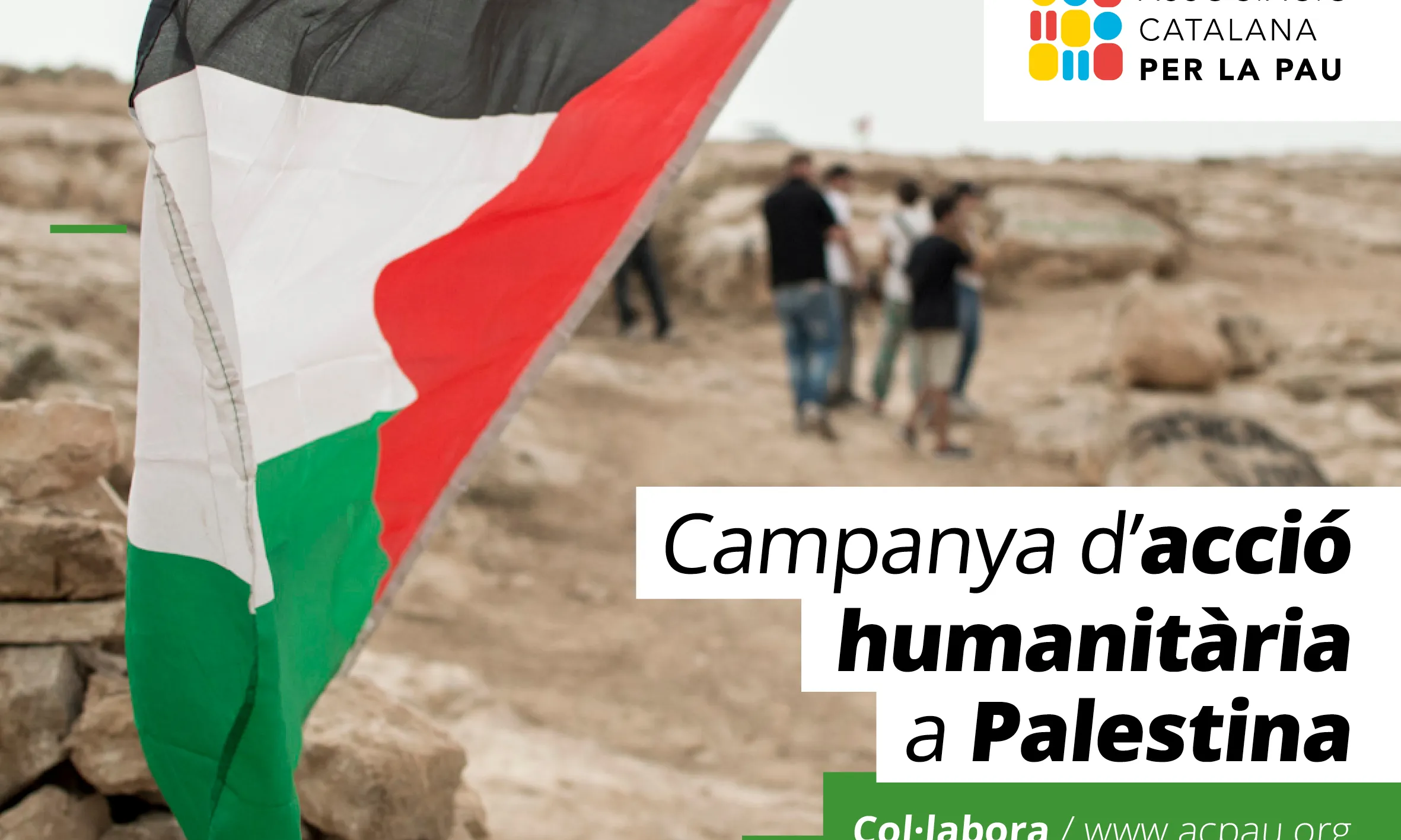 campanya palestina