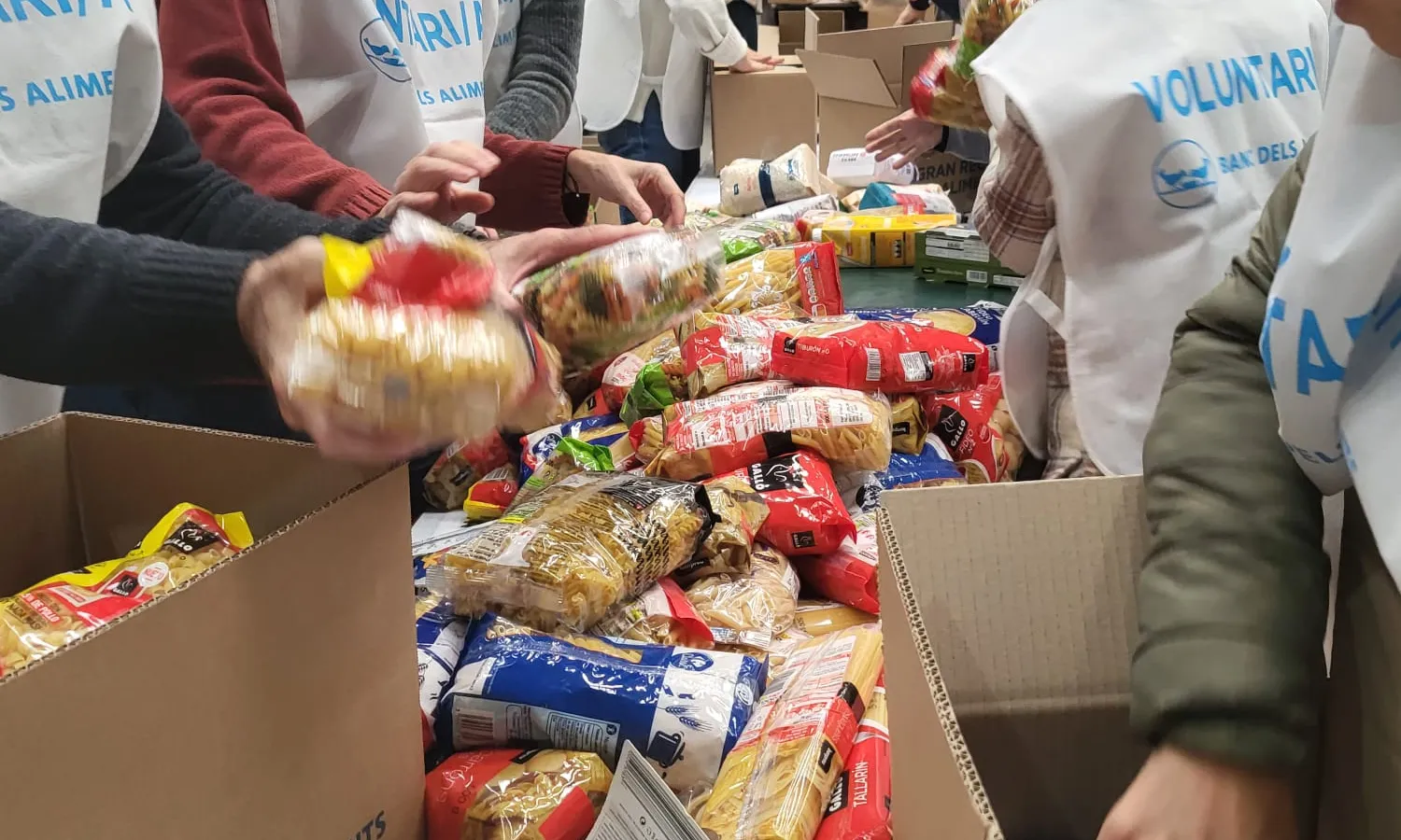 El voluntariat segueix actiu fent la classificació dels aliments recollits durant el Gran Recapte.