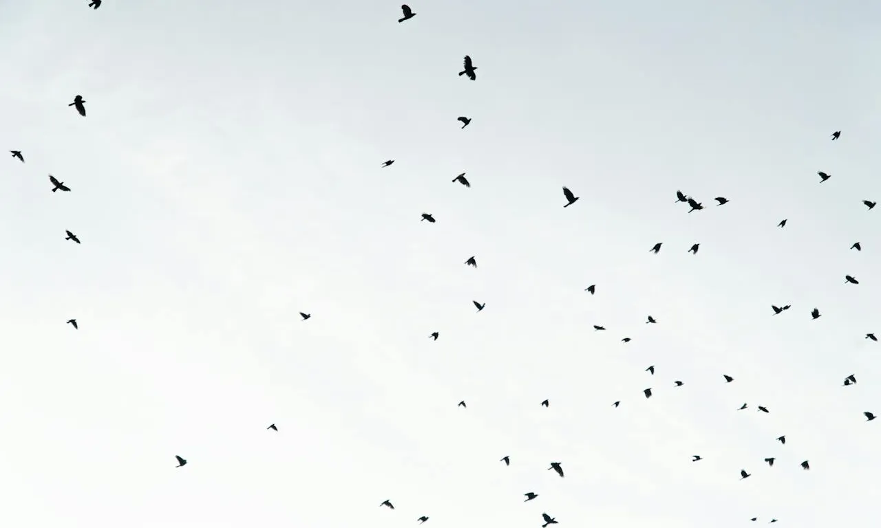 Des del final del Plistocè, prop de 600 espècies d'ocells han desaparegut.