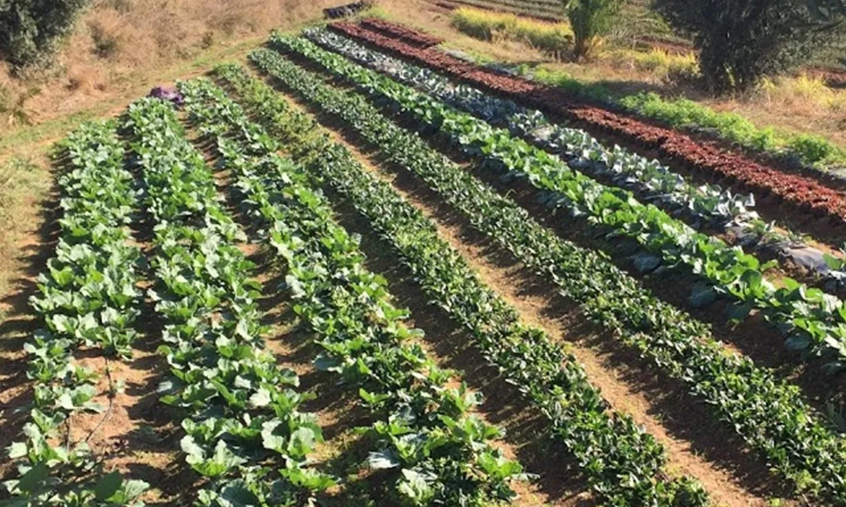 L'¡APACat defensa un mosaic agrari que promou la pastura permanent gestionada, l’agricultura local i ecològica i el consum racional d’aliments saludable. L'¡APACat defensa un mosaic agrari que promou la pastura permanent gestionada, l’agricultura local i ecològica i el consum racional d’aliments saludable.