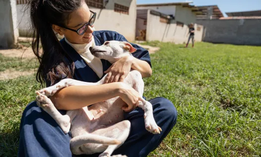 El Decret 52/2024 deroga la normativa anterior del Consell de l’Associacionisme i el Voluntariat de Catalunya.
