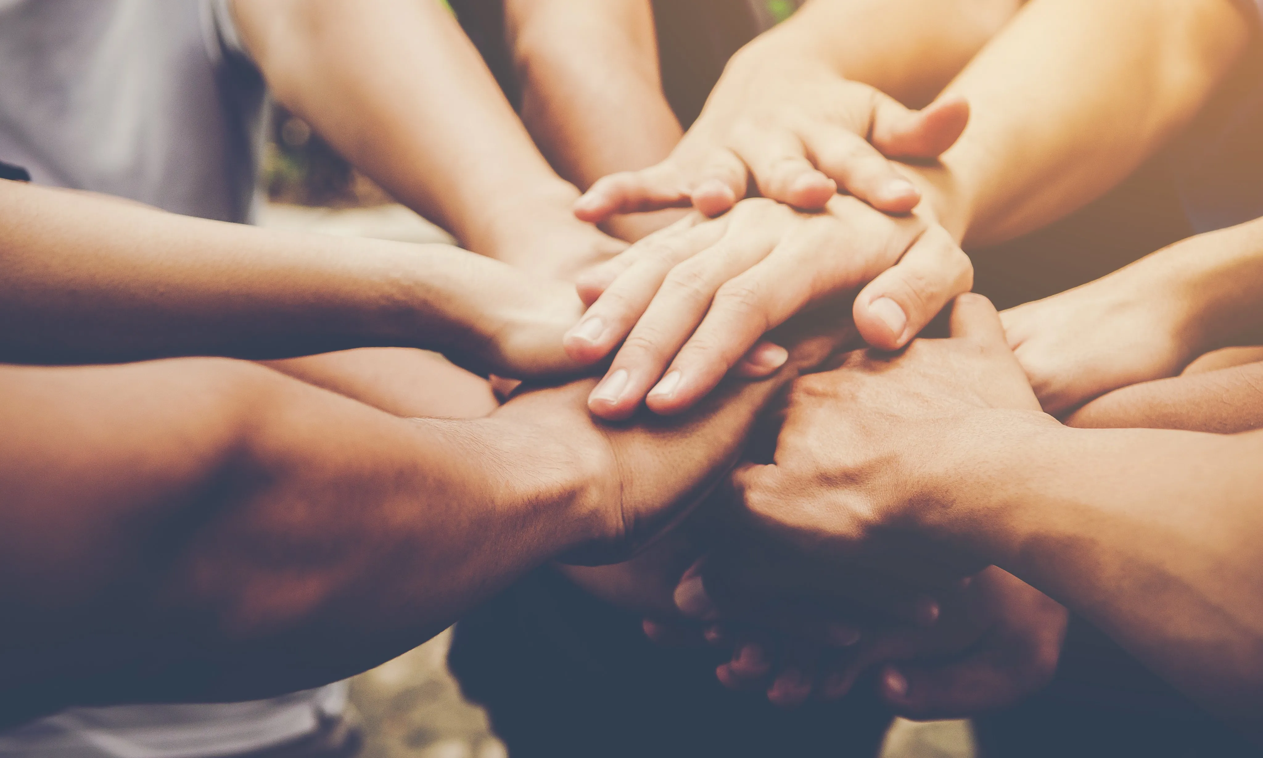 La creació de l’Agència de la Natura de Catalunya i la fiscalització del fons de patrimoni natural també son dues demandes prioritàries per a la XCN.