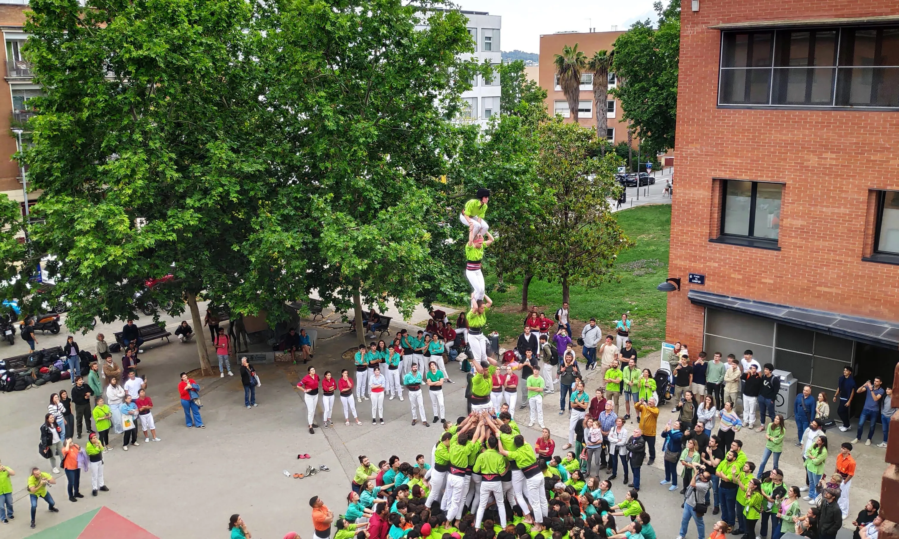 Pilar de 6 amb folre, dels Bergants 
