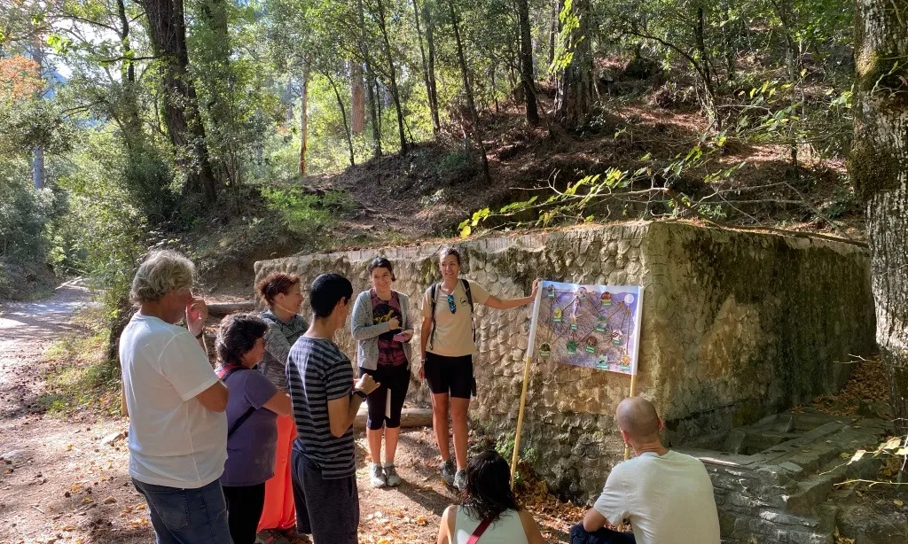Reboll és una cooperativa que proposa activitats d'ecoturisme, de descobriment i de divulgació del patrimoni natural, entre d’altres.