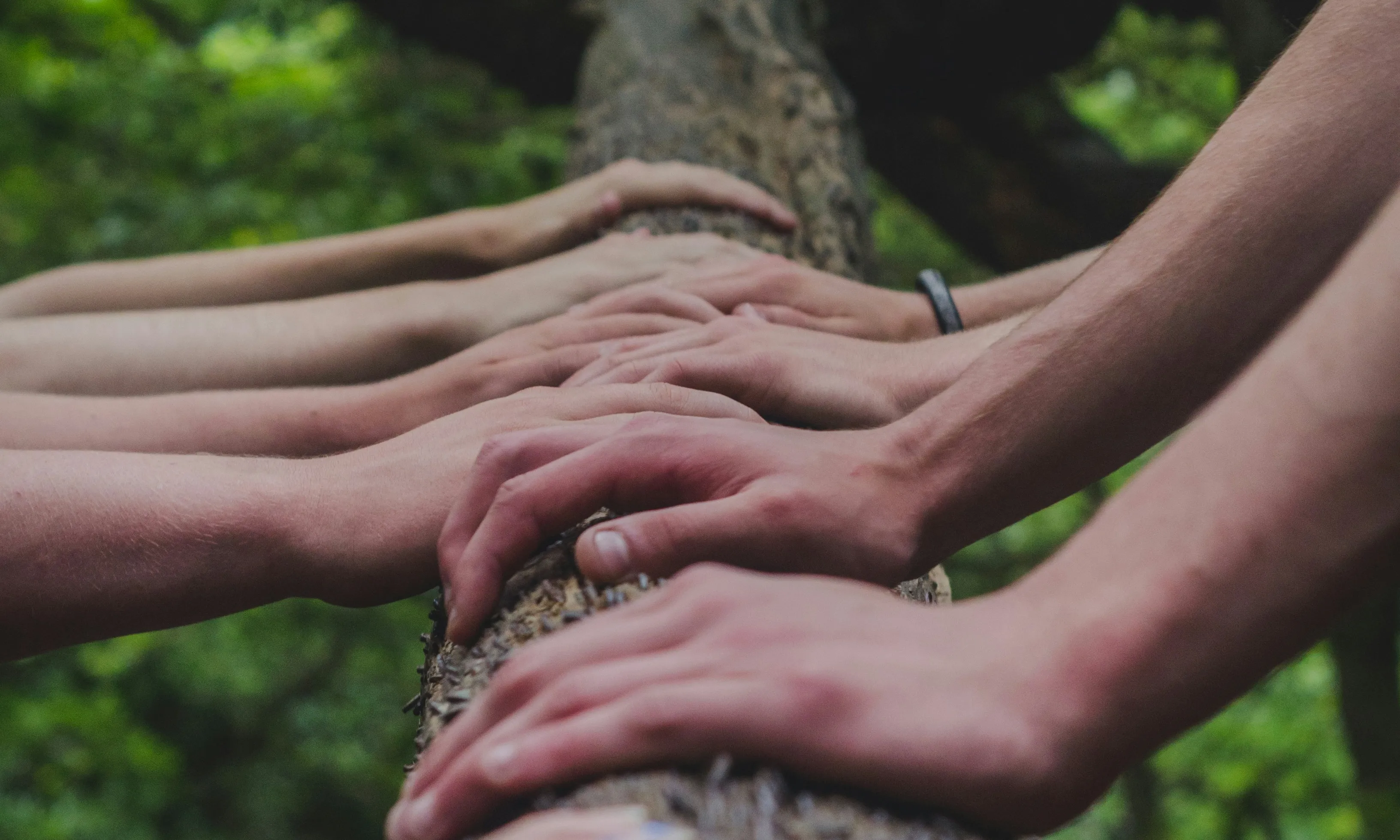 Arreu del territori existeixen diverses experiències de col·laboració entre micropobles.