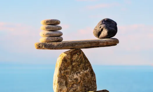 El traspàs de l'IMV n'hauria de facilitar la gestió. Font: Canva.