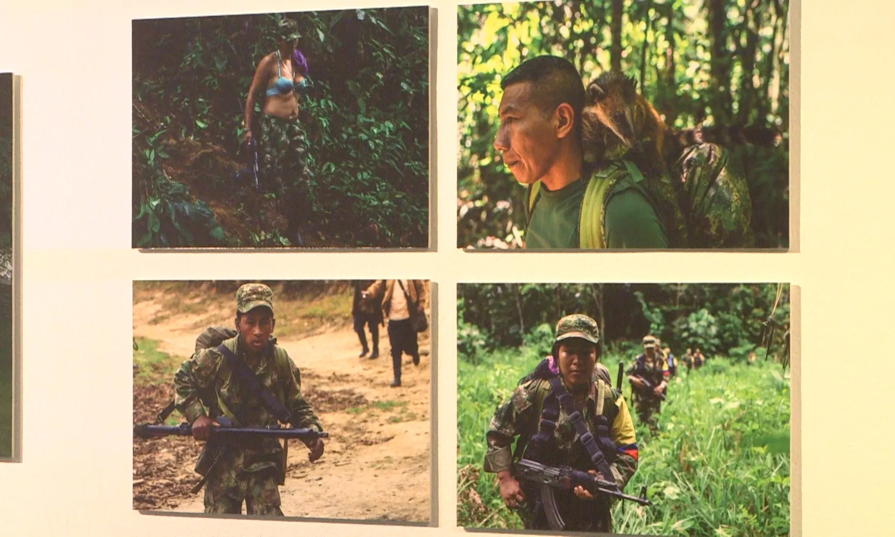 L'exposició és una mostra de les fotografies de Federico Rios, fotoperiodista colombià, i Alexa Rochi, fotoreportera i exguerrillera de les FARC.