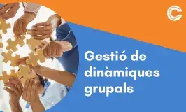 CURS PRESENCIAL: Gestió de dinàmiques grupals