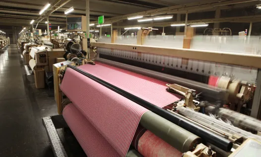 Diversos moviments civils i entitats treballen contra la contaminació que genera la indústria tèxtil.