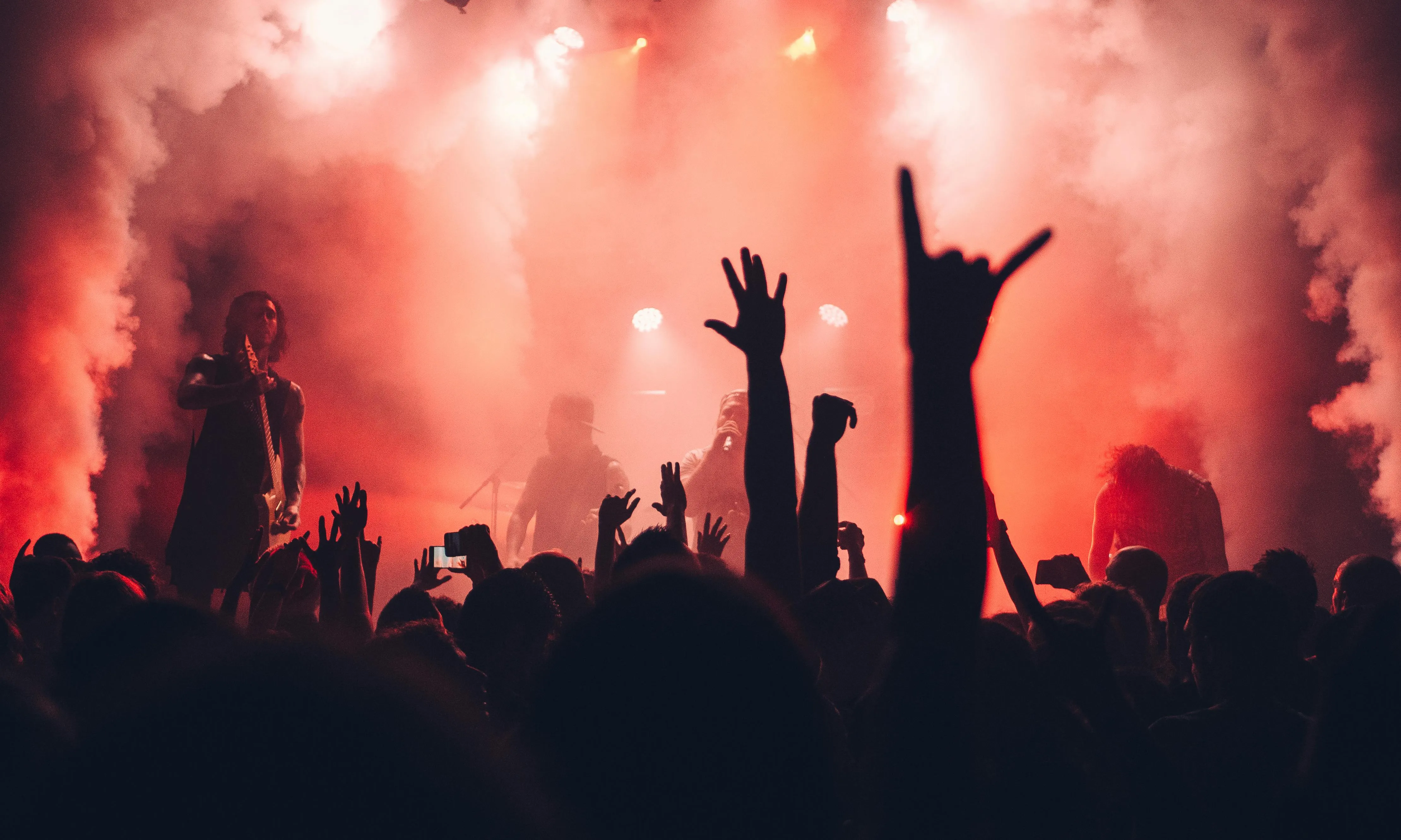 Públic en un concert de música a l'aire lliure Públic en un concert de música a l'aire lliure