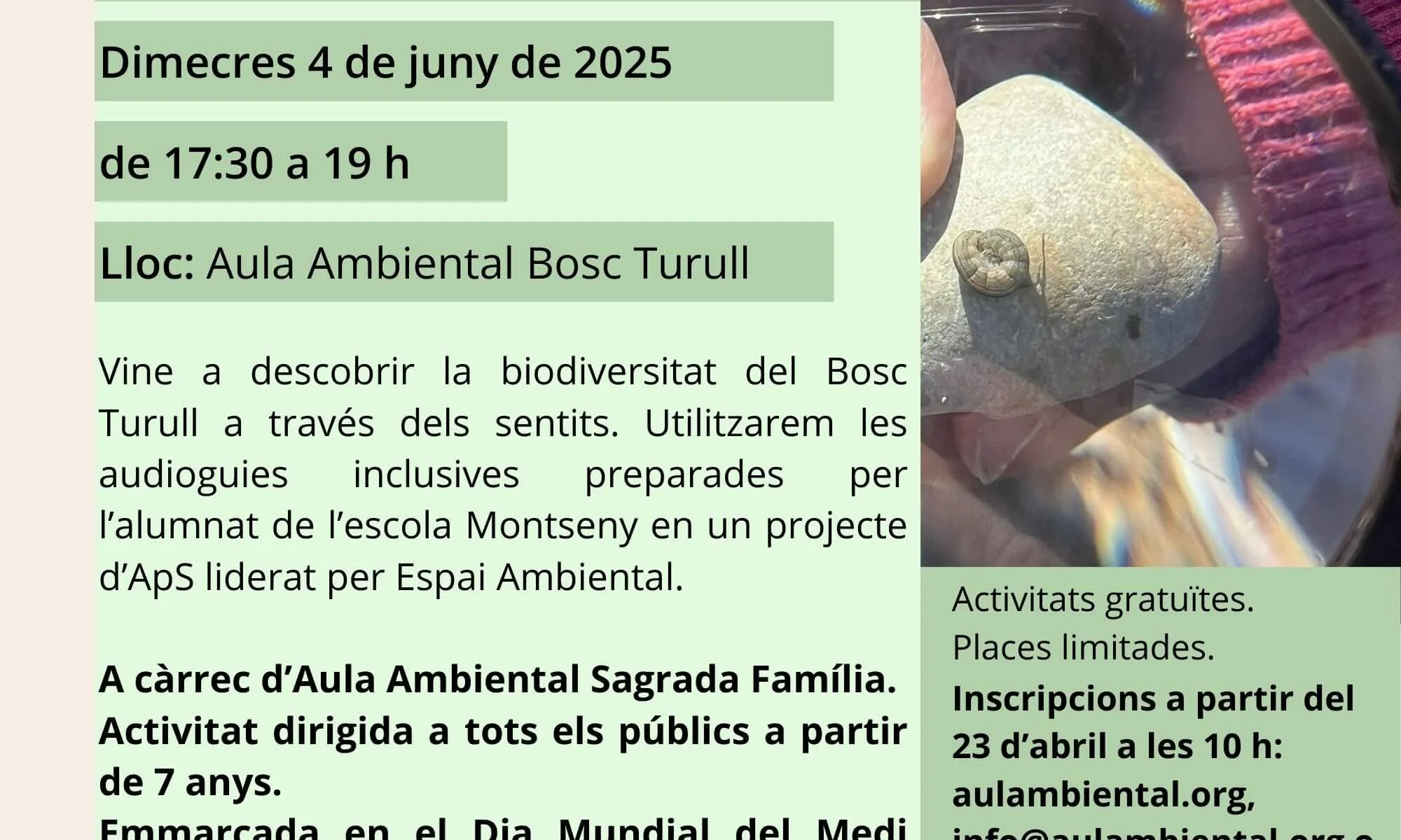 Vine a descobrir la biodiversitat del Bosc Turull 