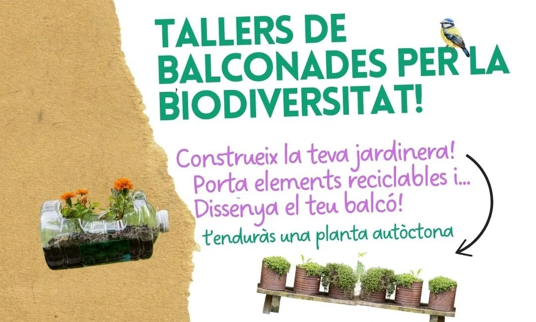 Cartell del Taller 'Balconades per la biodiversitat'