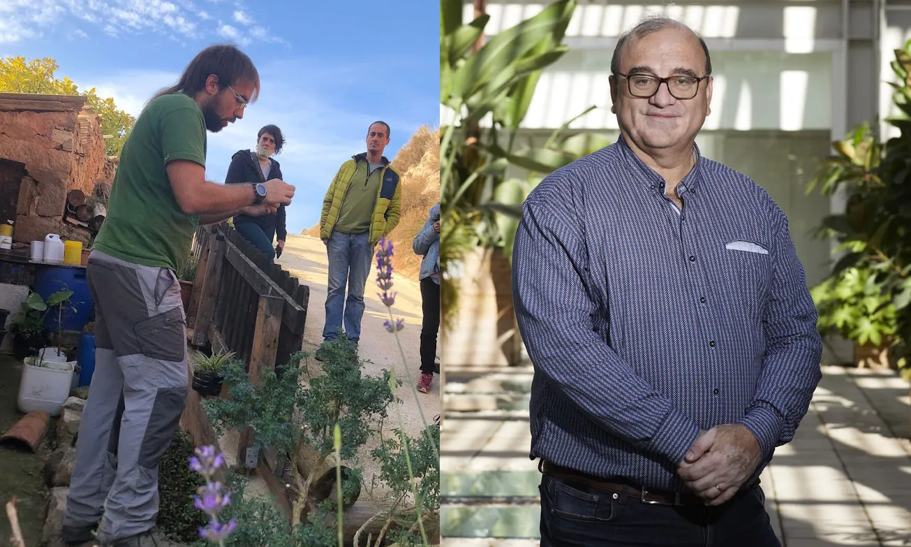 Guardonats als Premis Decreixement