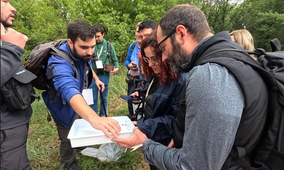L’aplec naturalista, més inclusiu i participatiu que mai, se celebra aquest dissabte 26 d’abril a la finca de Can Moragues. L’aplec naturalista, més inclusiu i participatiu que mai, se celebra aquest dissabte 26 d’abril a la finca de Can Moragues.