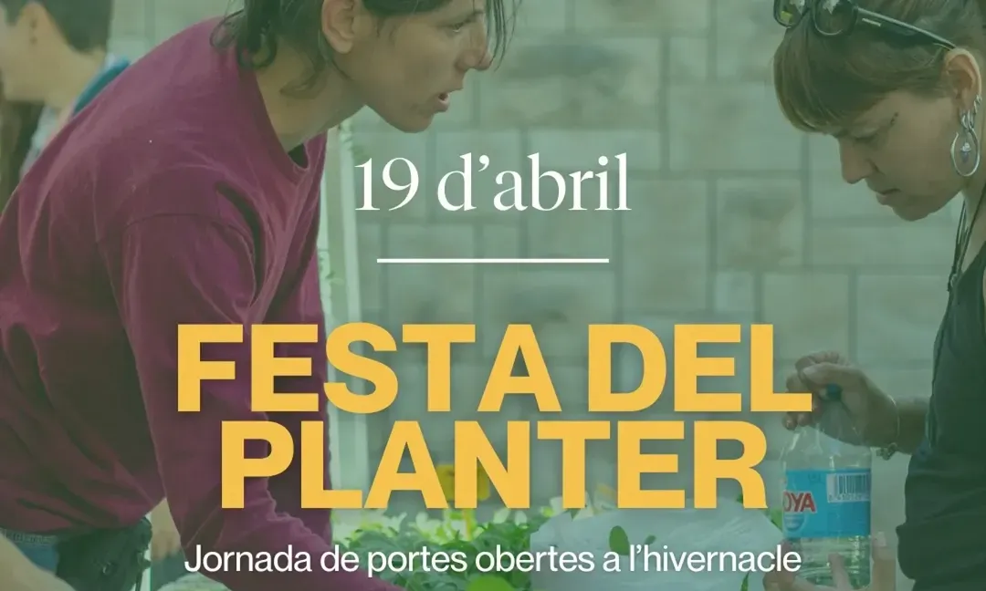 Cartell de la Festa del Planter 2025