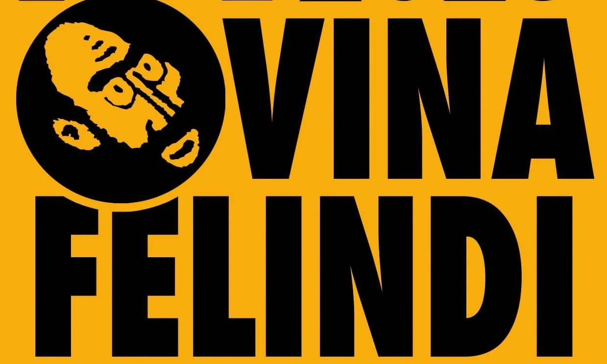 Cartell de la Festa Solidària Vinafelindi