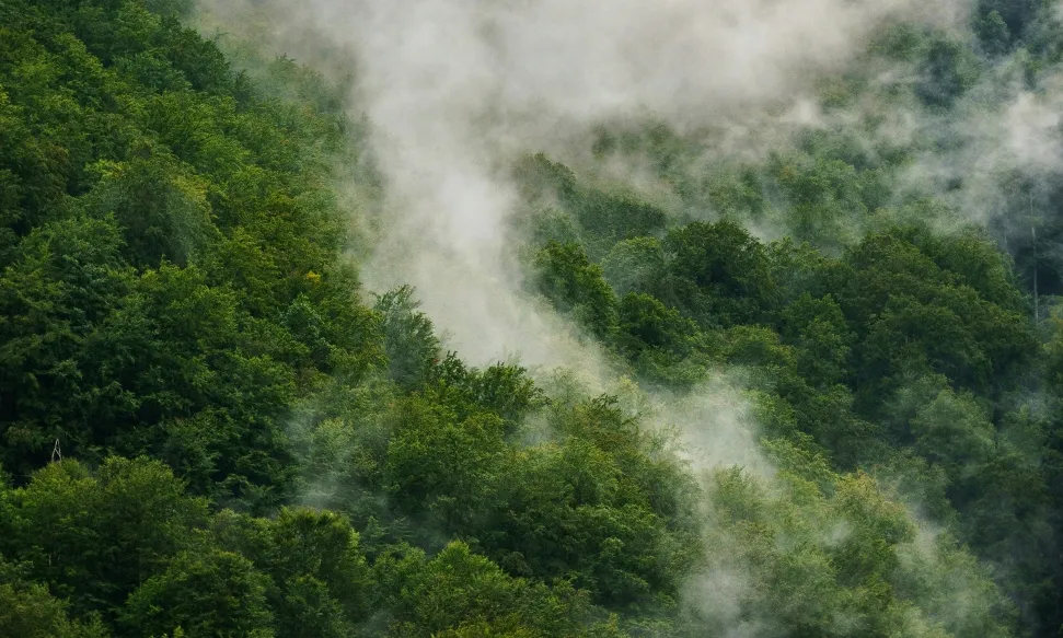 Imatge promocional del cicle 'Primavera Verda', que té com a objectiu fomentar una visió crítica sobre com funciona la nostra societat a escala global i local