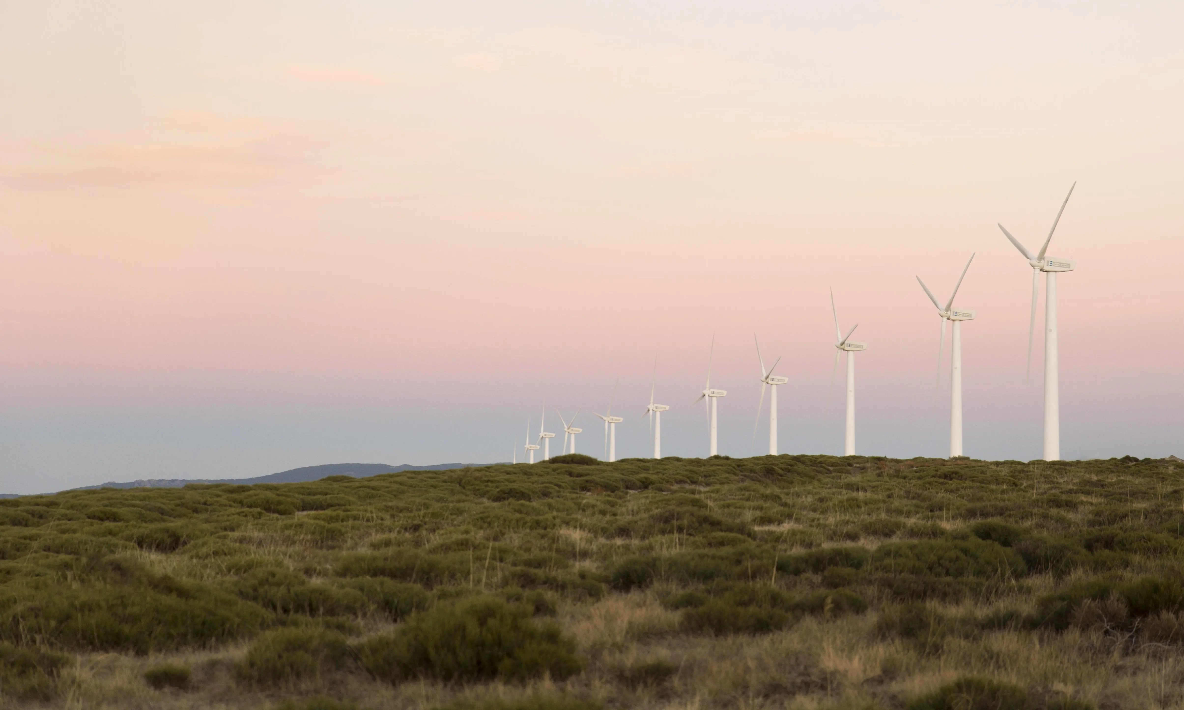 Les entitats alerten que el nou decret de renovables posa en risc el territori i la biodiversitat.