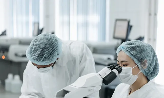 Dues persones treballant en un laboratori amb microscopis Dues persones treballant en un laboratori amb microscopis