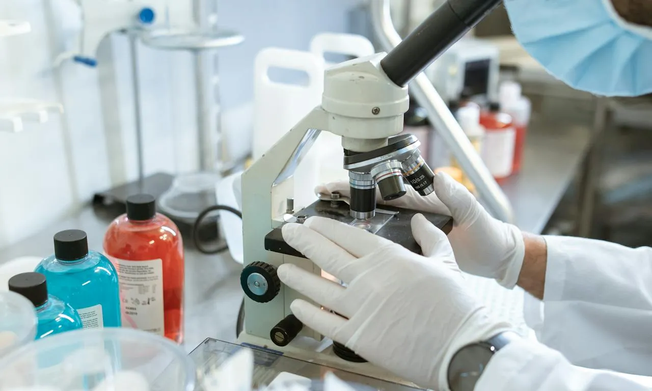 Home en un laboratori mirant per un microscopi Home en un laboratori mirant per un microscopi