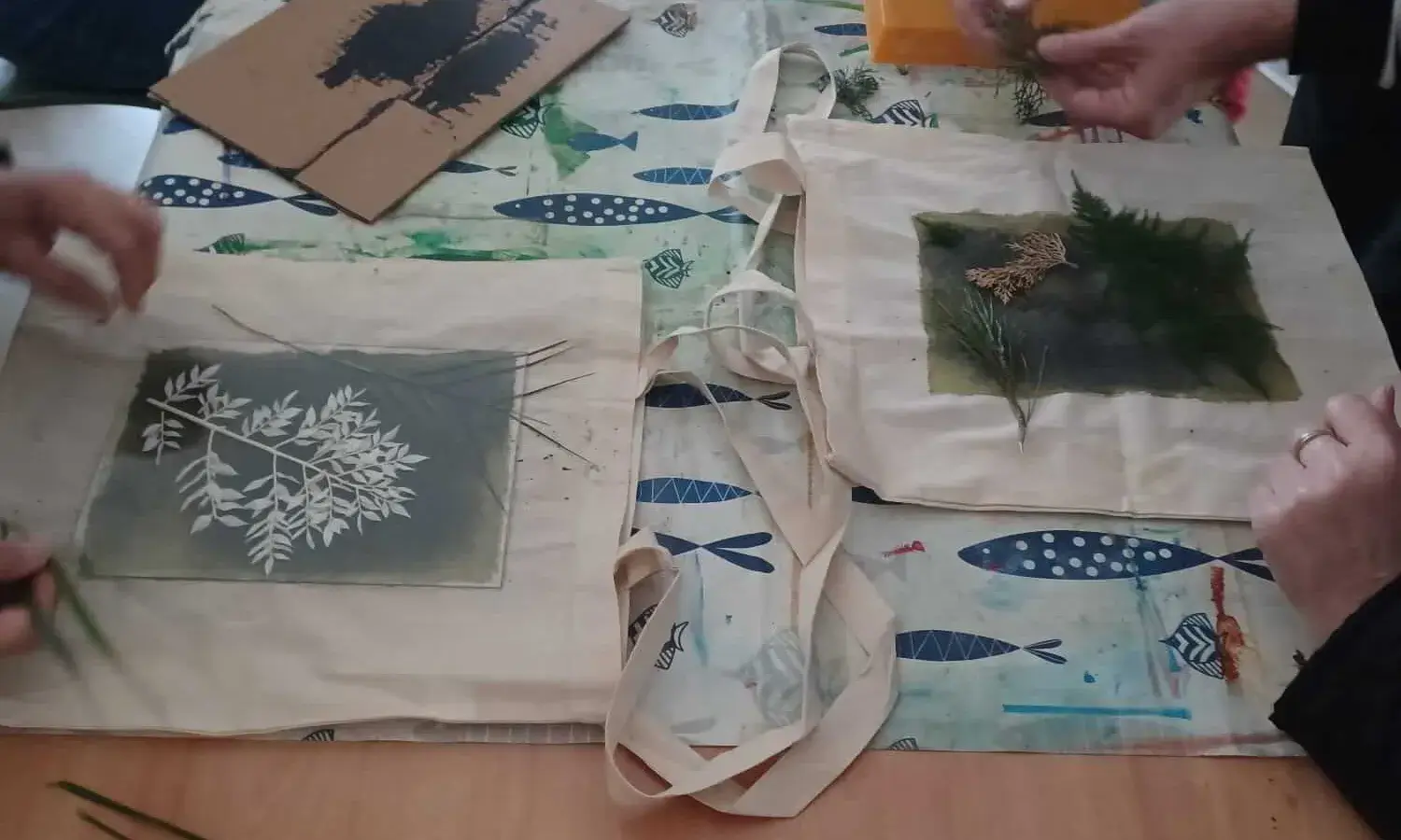 Cianotípia amb elements naturals